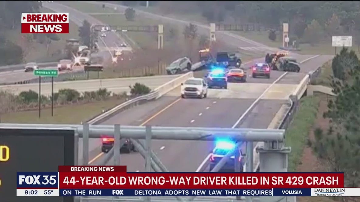 Wrong-way driver killed in crash on SR-429